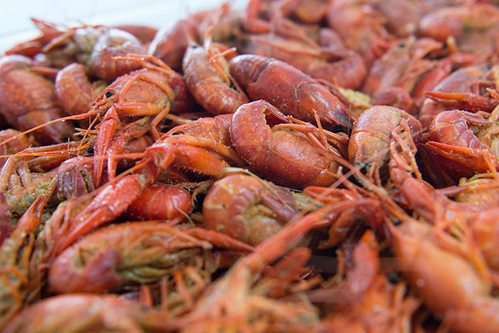 Crawfish are one of our specialties! Always prepared fresh with delicious traditional NOLA style spices.